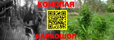 стафф Кимры