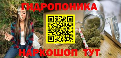 гашик Кинель