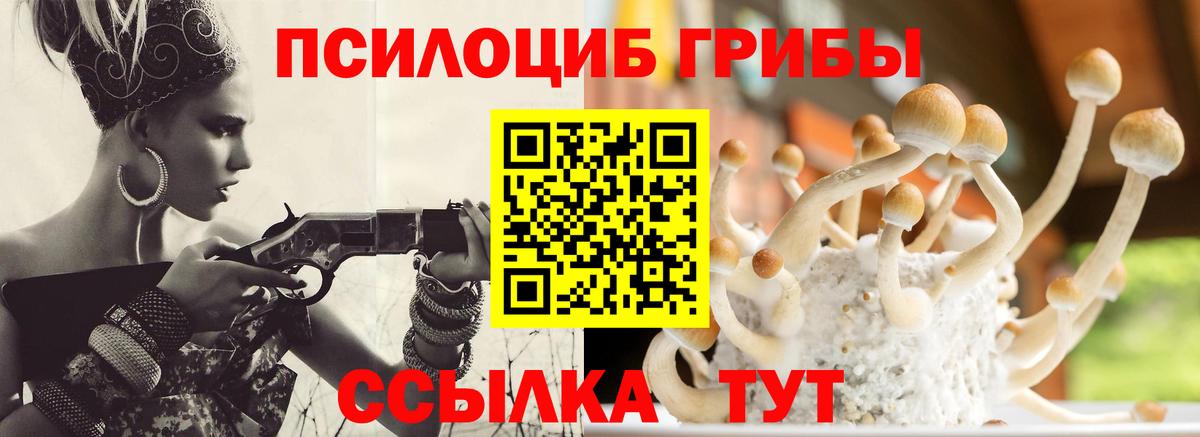 Ленинск-Кузнецкий  Псилоцибиновые грибы ЛСД  Псилоцибиновые грибы Magic Shrooms  Вход с VPN 